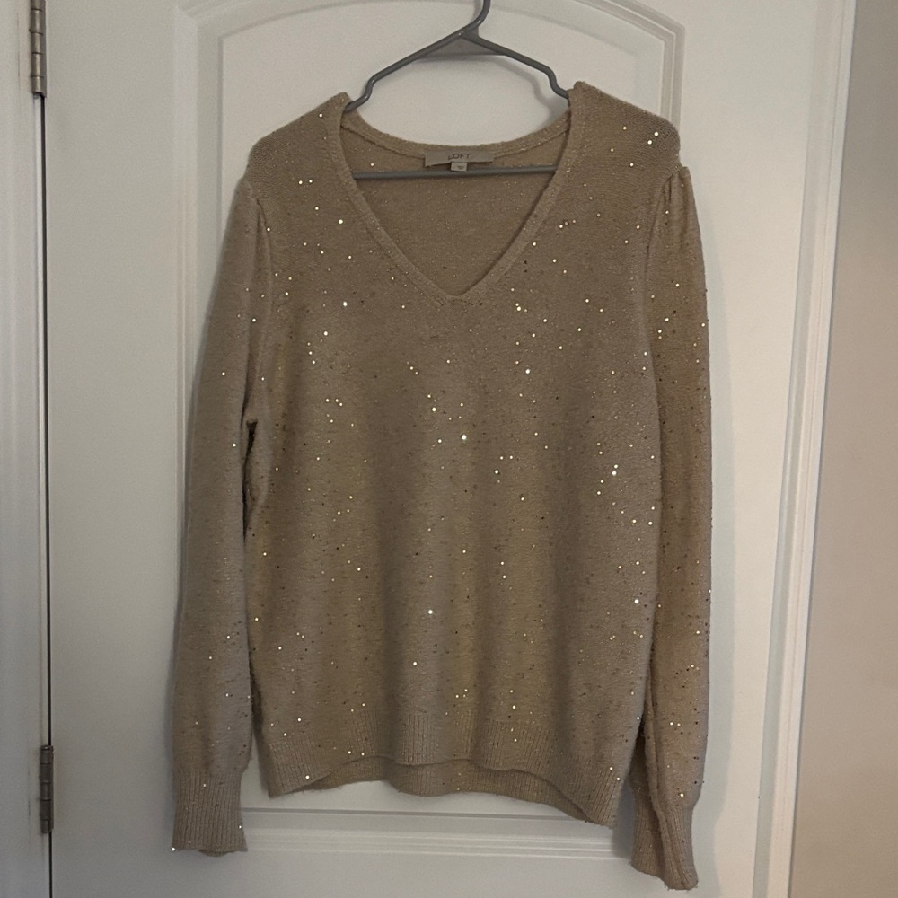 LOFT V-Neck Sweater with Sequin Detail